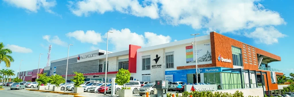 Downtown Puntacanatophouse